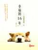 Cover of 幸福的16年