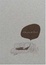 Cover of 'Sempe'