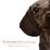 Cover of Dachshunds Short and Long
