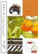 Cover of 日本的一年