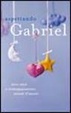 Cover of Aspettando Gabriel