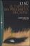Cover of Il tappeto da preghiera di carne