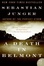 Cover of "A Death in Belmont"