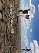 Cover of 當世界只剩下貓
