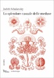 Cover of Lo splendore casuale delle meduse
