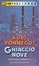 Cover of Ghiaccio nove