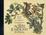 Cover of Guida pratica agli alberi e arbusti in Italia