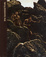 Cover of The Neanderthals