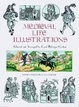 Cover of Medieval Life Illustrations