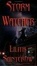 Cover of "Storm Watcher"