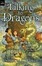 Cover of "Talking to Dragons"