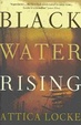 Cover of Black Water Rising