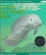 Cover of Chessie, the Travelin' Man