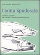 Cover of L'orata spudorata