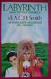 Cover of Labyrinth