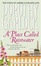 Cover of "A Place Called Rainwater"
