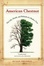 Cover of "American Chestnut"