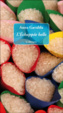 Cover of L'échappée belle