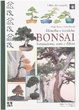 Cover of Bonsai
