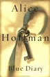 Cover of Blue Diary