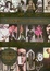 Cover of 100%DM