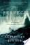 Cover of 'The Perfect Storm'
