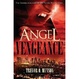 Cover of Angel of Vengeance