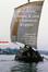 Cover of Il fiume, il cane e il fumatore d'oppio