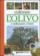 Cover of Coltivare l'olivo e utilizzarne i frutti