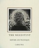 Cover of Mezzotint