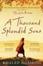 Cover of 'A Thousand Splendid Suns'