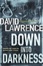Cover of "Down into Darkness"