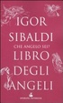 Cover of Libro degli angeli