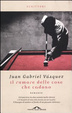 Cover of Il rumore delle cose che cadono