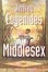 <span class='translatable' lang='Cover of '{[title]}''>Cover of 'Middlesex'</span>