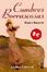 Cover of Cumbres borrascosas