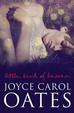 Cover of Little Bird of Heaven