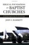 Cover of "Biblical Foundations for Baptist Churches"