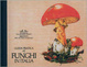 Cover of Guida pratica ai funghi in Italia