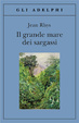 Cover of Il grande mare dei sargassi
