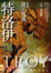 Cover of 特洛伊終曲