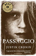 Cover of Il passaggio