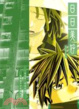 Cover of 日日美好 3