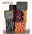 Cover of Still Life