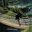Cover of "Maggie's Ireland"