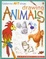 Cover of Drawing Animals