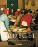 Cover of Bruegel