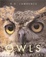 Cover of Owls