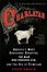 Cover of Charlatan