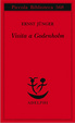 Cover of Visita a Godenholm